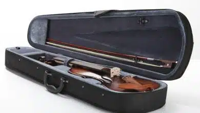 Keman Kutusu - Keman Taşıma Çantası