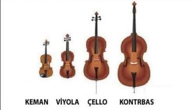Keman Ailesi : Viyola - Viyolin - Çello ve Kontrbas Nedir?