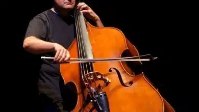 Keman ailesinin en kalın sesli üyesi: Kontrabas