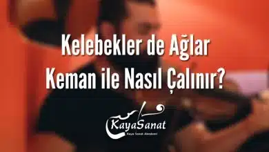 Farid Farjad - Kelebekler De Ağlar - Kemanla Nasıl Çalınır?