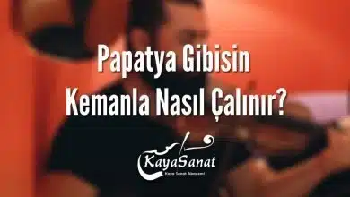 Papatya Gibisin Kemanla Nasıl Çalınır?
