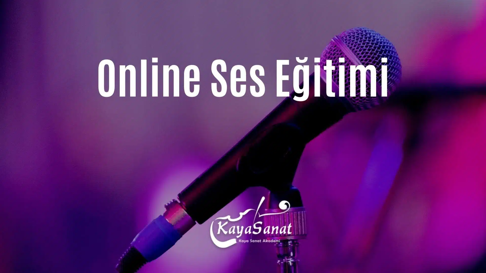 Online Ses Eğitimi