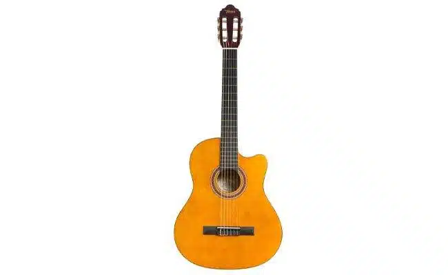 Gitar Çeşitleri ve Özellikleri