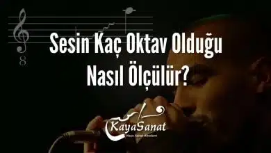 Sesin Kaç Oktav Olduğu Nasıl Ölçülür?