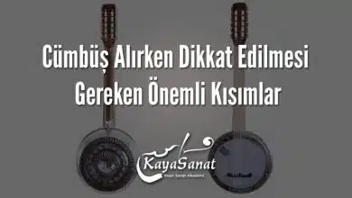 Cümbüş Alırken Dikkat Edilmesi Gereken Önemli Kısımlar