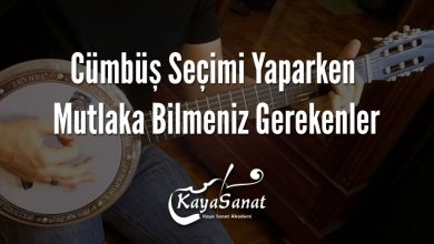 Cümbüş Seçimi Yaparken Mutlaka Bilmeniz Gerekenler