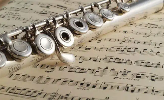 Yan Flüt Seçimi Yaparken Mutlaka Bilmeniz Gerekenler