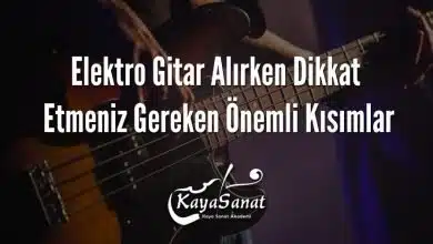 Elektro Gitar Alırken Dikkat Etmeniz Gereken Önemli Kısımlar