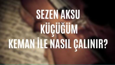 Sezen Aksu - Küçüğüm Keman İle Nasıl Çalınır?
