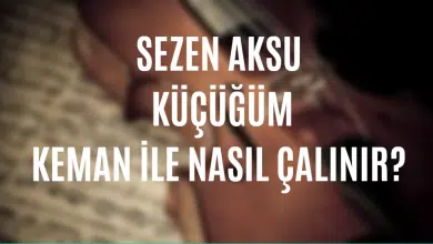Sezen Aksu - Küçüğüm Keman İle Nasıl Çalınır?