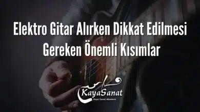 Elektro Gitar Alırken Dikkat Edilmesi Gereken Önemli Kısımlar