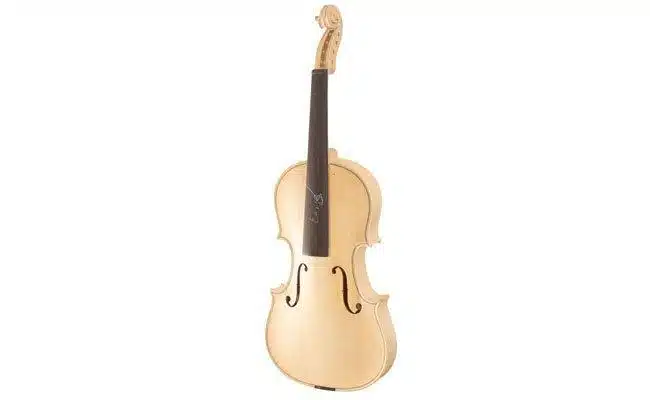 En Çok Tercih Edilen 5 Başlangıç Kemanı