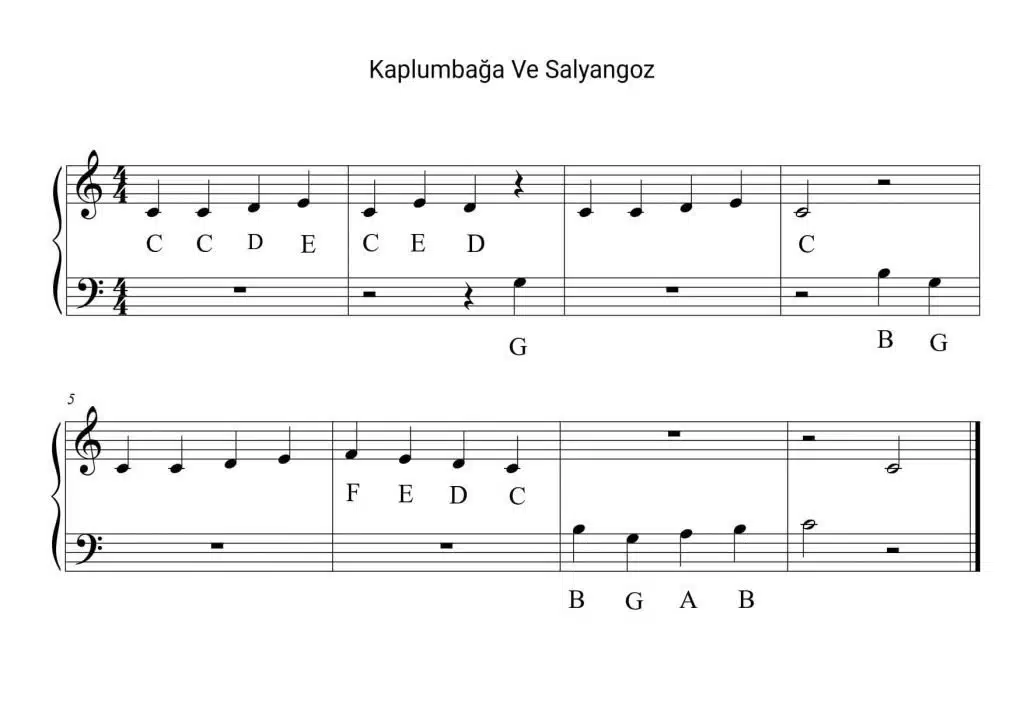 Kaplumbağa ve Salyangoz Piyano Notaları