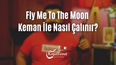 fly me toon