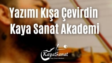 Yazımı Kışa Çevirdin Keman Notaları