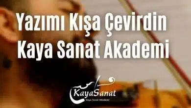 Yazımı Kışa Çevirdin Keman Notaları