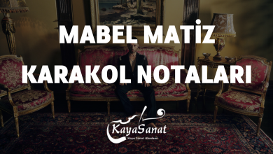 Mabel Matiz Karakol Notaları
