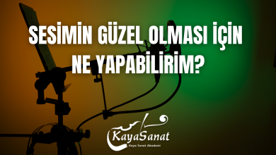 SES EĞİTİMİ