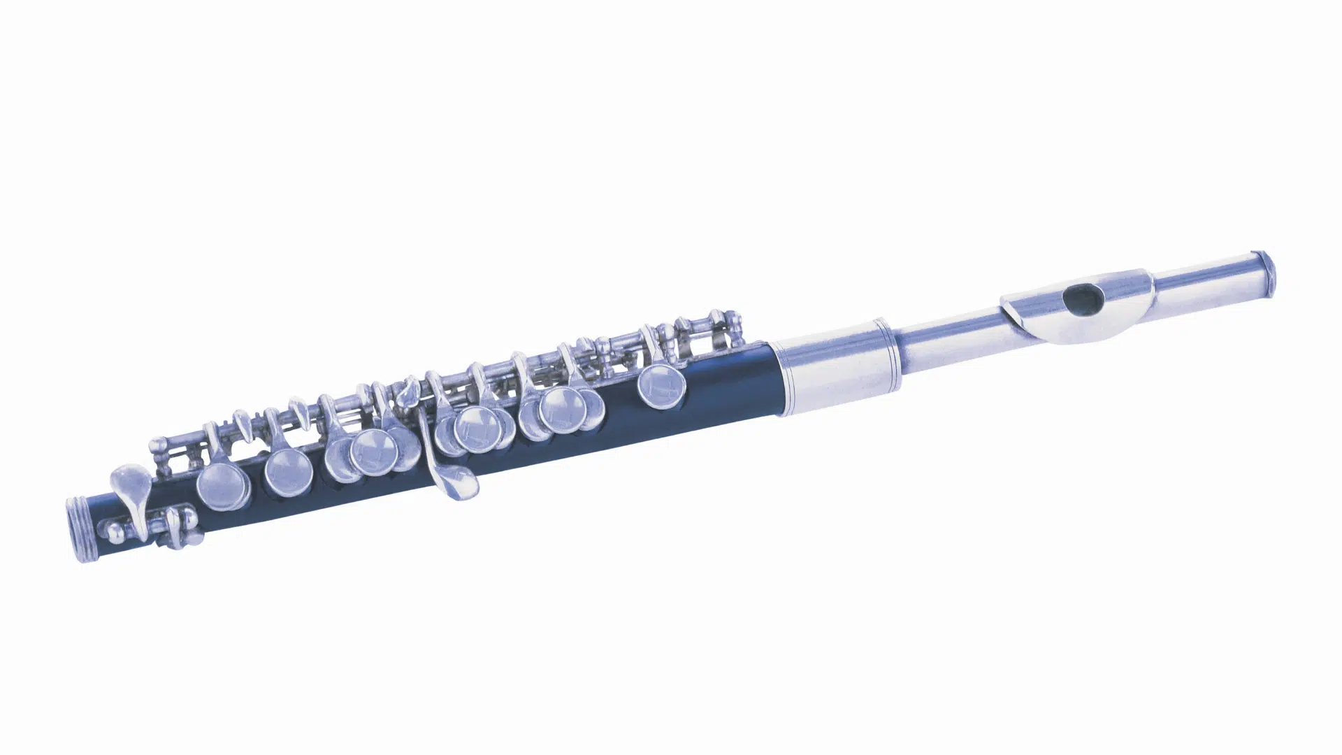 Flüt Çeşitleri Nelerdir?