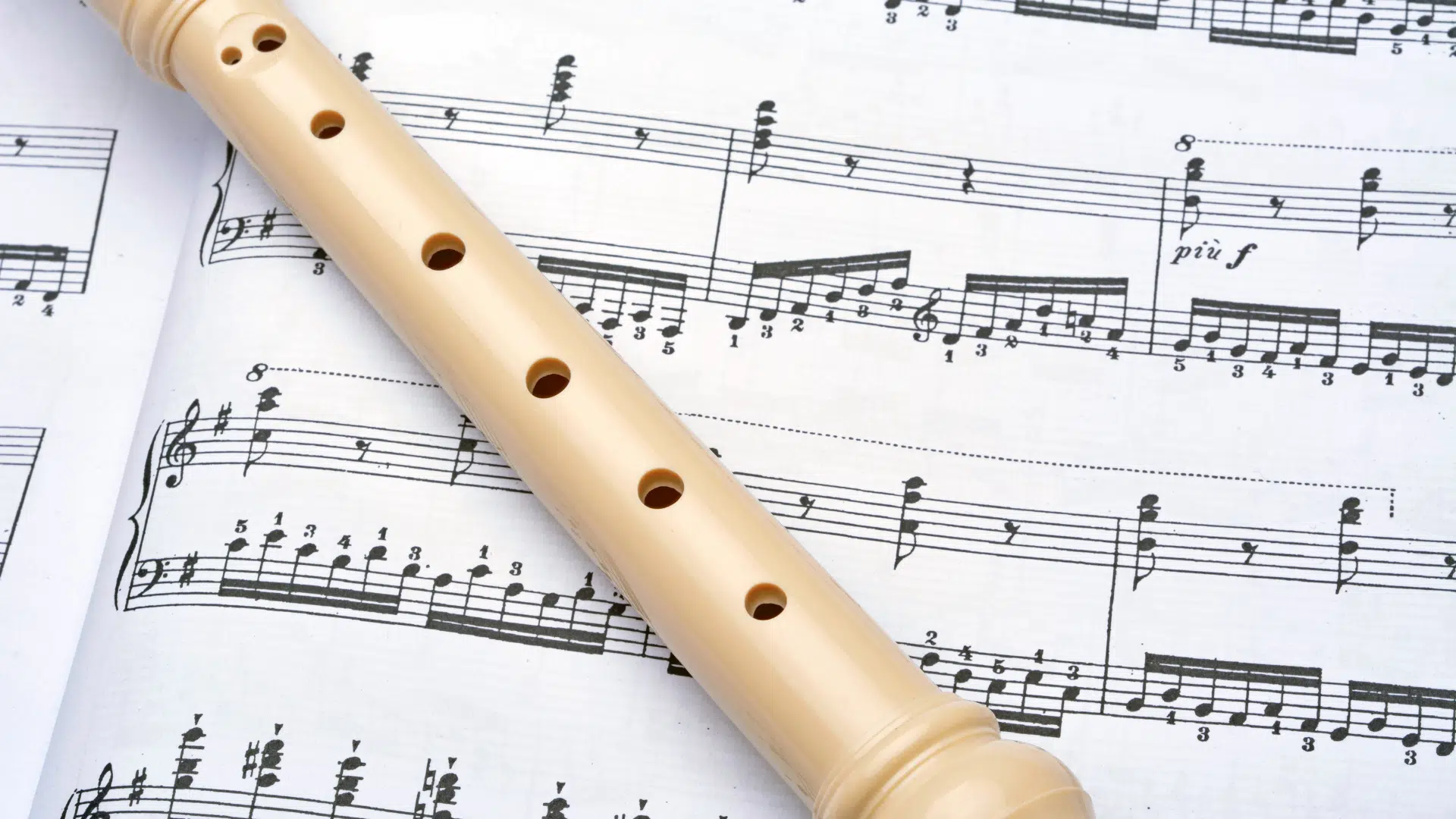 Flüt Çeşitleri Nelerdir?