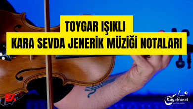 toygar ışıklı kara sevda notaları