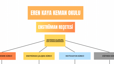 Enstrüman Çalışma Reçetesi