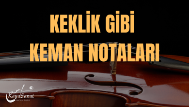 keklik gibi keman notası
