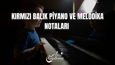 KIRMIZI BALIK PİYANO MELODİKA
