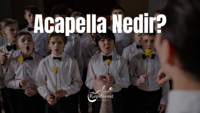 Acapella Nedir?